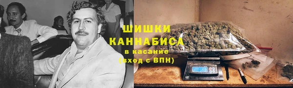 PSILOCYBIN Беломорск