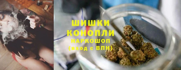 тгк Богородск