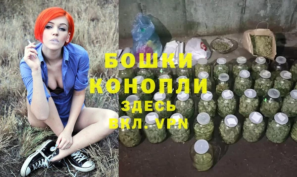 PSILOCYBIN Беломорск