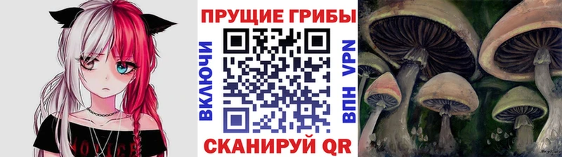 Псилоцибиновые грибы мухоморы  цены   ссылка на мегу ССЫЛКА  Мостовской 